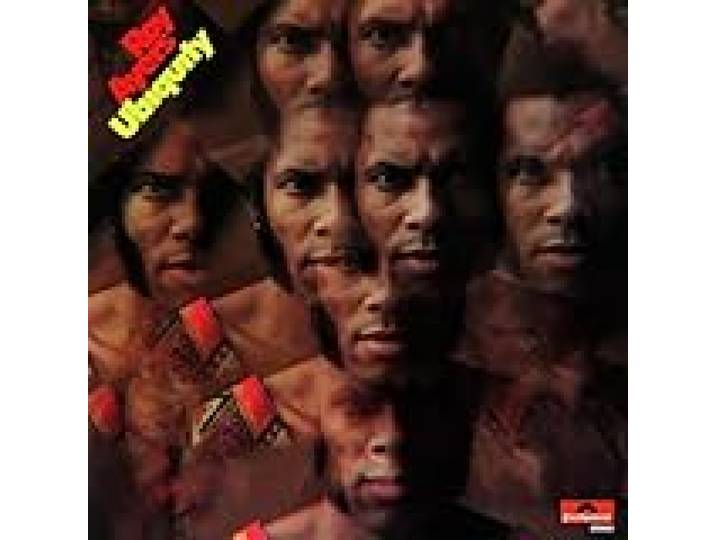 Ubiquity (Limited Edition) [Vinilo]