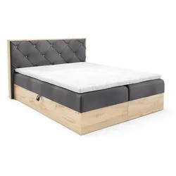 BOXBETT Helios