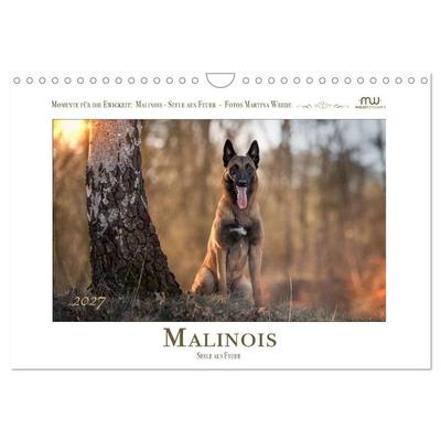 Malinois - Seelen aus Feuer (Wandkalender 2027 DIN A4 quer), CALVENDO Monatskalender
