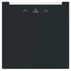 Busch-Jaeger Zentralscheibe 1792 RFID-45M