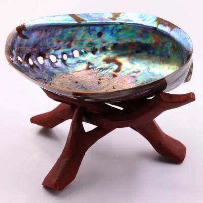 Abalone Shell Smudge Kit Paua Shell Sage Smudging Bowl With Stand c