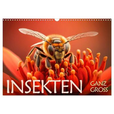 Insekten ganz gross (Wandkalender 2027 DIN A3 quer), CALVENDO Monatskalender
