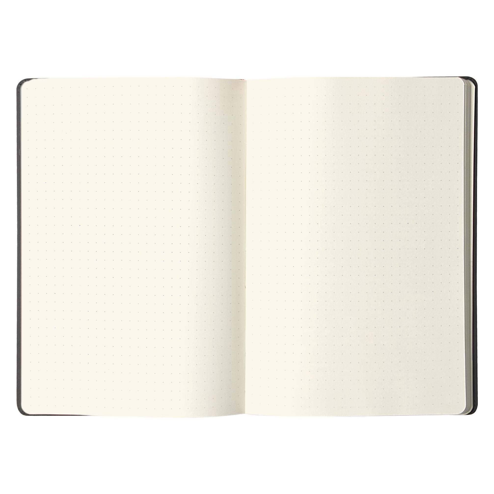 Rhodia Webnotebook (A5, Speziallineatur, Harter Einband) (118769)
