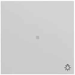 Gira Kontrollwippe Schalter grau lackiert 367476 Licht