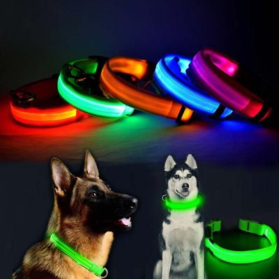 Pet Hub Waterproof LED Dog Collar With Light Black M