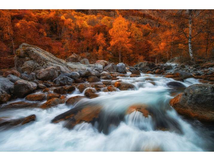 Fototapete PAPERMOON Photo-Art MATTEO MUSETTI, ENTSPANNEN SIE SICH , bunt, B:2,5m L:1,86m, Vlies, Tapeten, Fototapete
