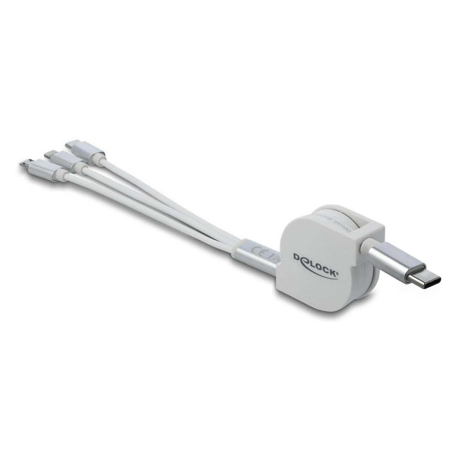 Delock USB C - USB C/Lightning/Micro USB (0.98 m, USB 2.0) (85844)