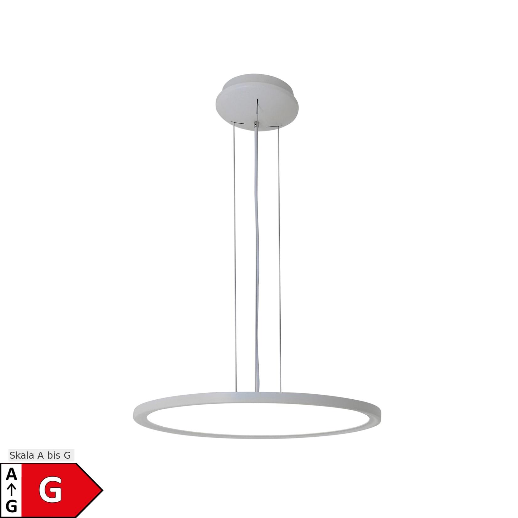 Näve LED Pendelleuchte "FRISBEE" d:40cm