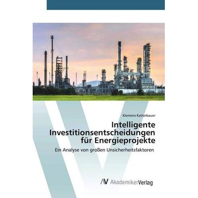 Intelligente Investitionsentscheidungen für Energieprojekte, Taschenbuch von Klemens Katterbauer, AV Akademikerverlag, 978-3-639-46771-0