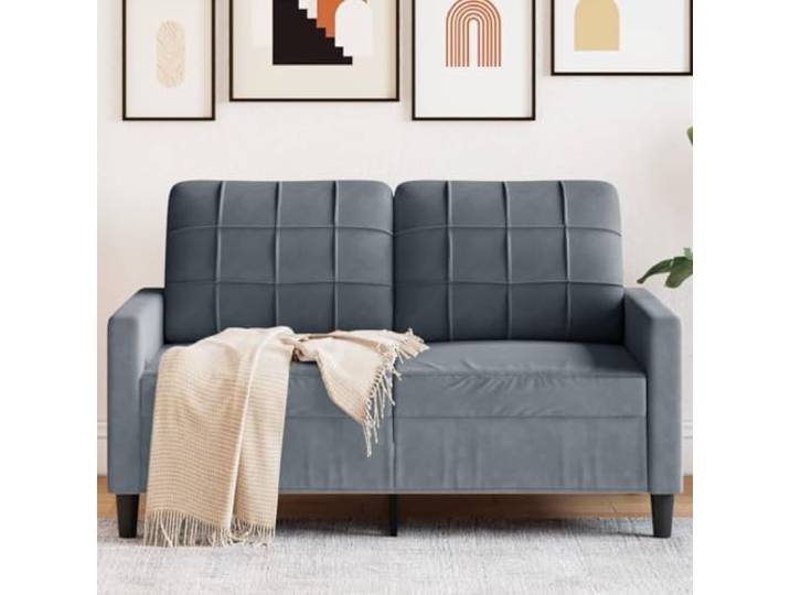 HEFZGDB Dunkelgraues 2-Sitzer-Sofa 120 cm Samt Modernes Metallgestell Bequem Polsterung Weich Komfortabel Stabiles Wohnzimmer Sofa Langlebig Entspannen