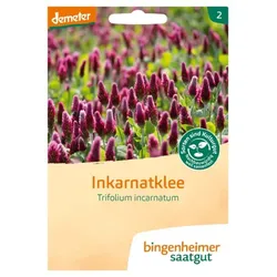 Bingenheimer Saatgut Inkarnatklee demeter