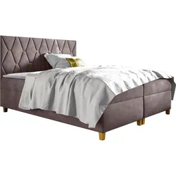 BOXBETT Inez - H3