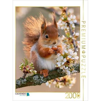 CALVENDO Puzzle Glück auf flinken Pfoten | 2000 Teile Lege-Größe 90 × 67 cm Foto-Puzzle für glückliche Stunden, von , Calvendo Puzzle