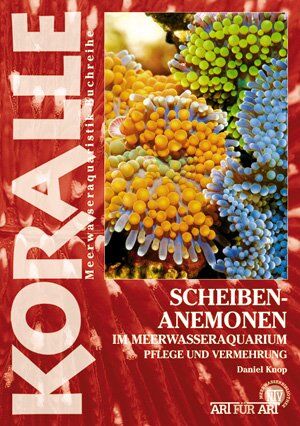 Daniel Knop - Scheibenanemonen: Pflege und Vermehrung - Preis vom 30.09.2026 09:01:18 h