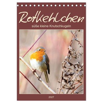 Rotkehlchen, süße kleine Knutschkugeln (Tischkalender 2027 DIN A5 hoch), CALVENDO Monatskalender