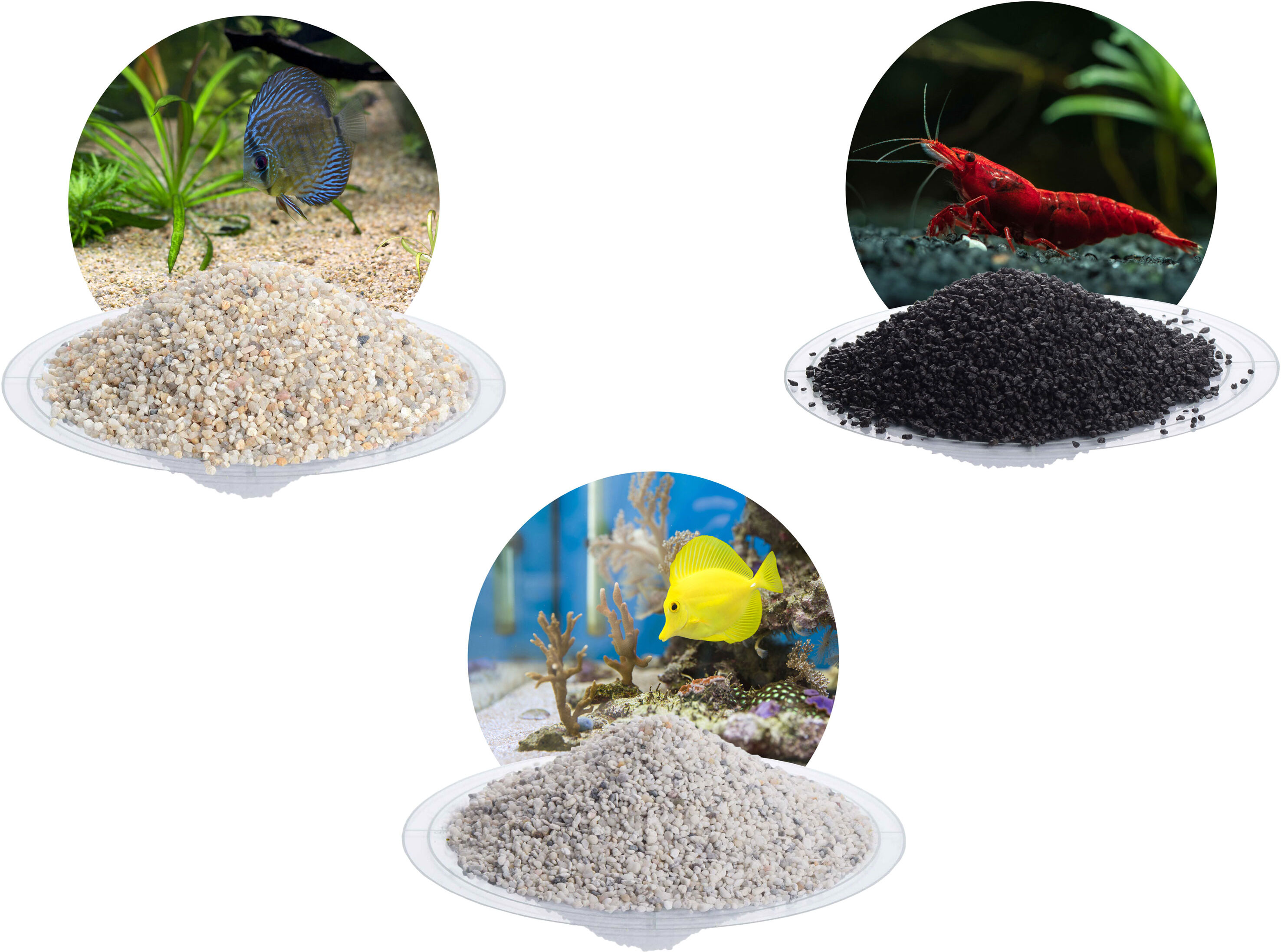SCHICKER MINERAL Aquariumkies