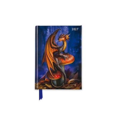 Anne Stokes – Taschenkalender 2027