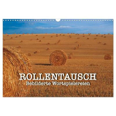 Rollentausch – Bebilderte Wortspielereien (Wandkalender 2027 DIN A3 quer), CALVENDO Monatskalender