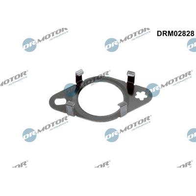 DR.MOTOR AUTOMOTIVE Dichtung, Leitung AGR-Ventil drm02828 für Ford