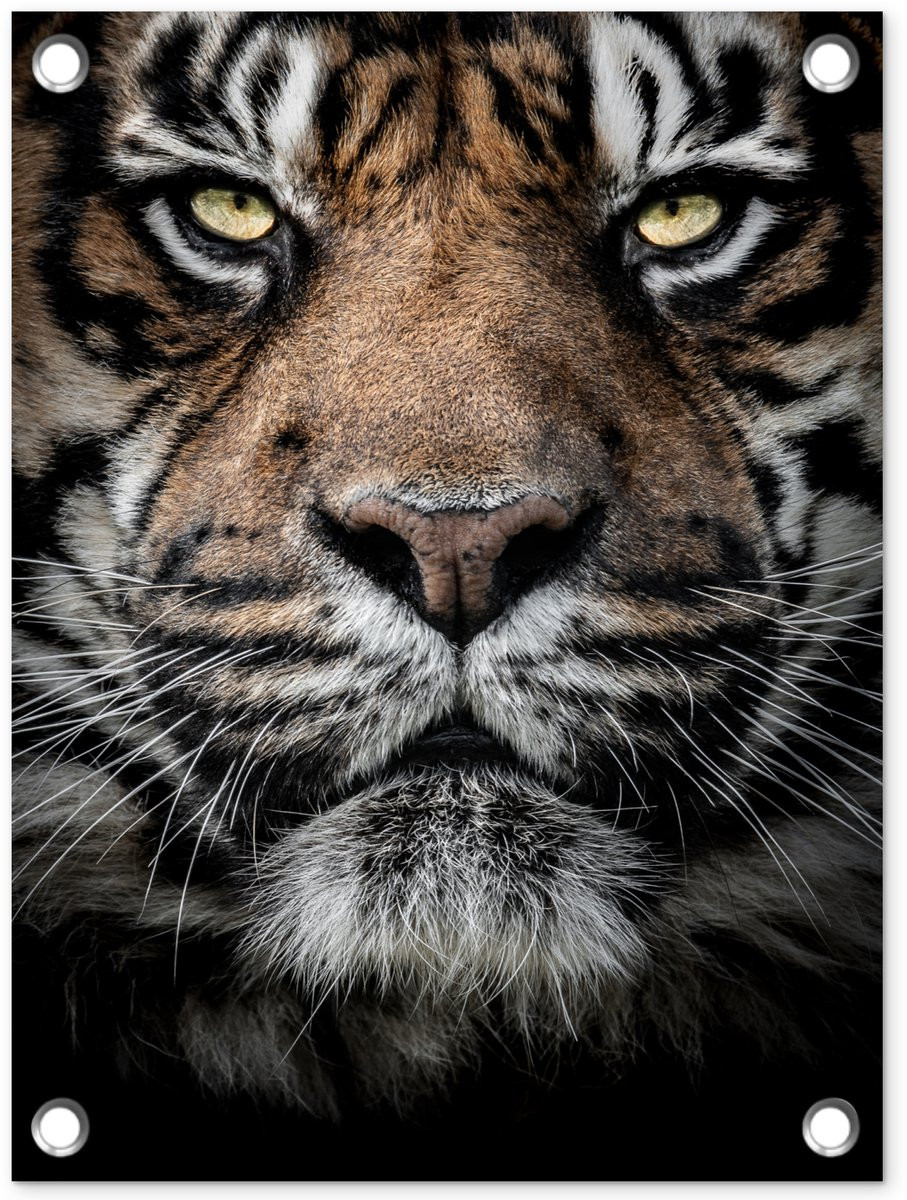 Tuindecoratie Tijger Portret Tuinposter - Huid - 30 x 40 cm