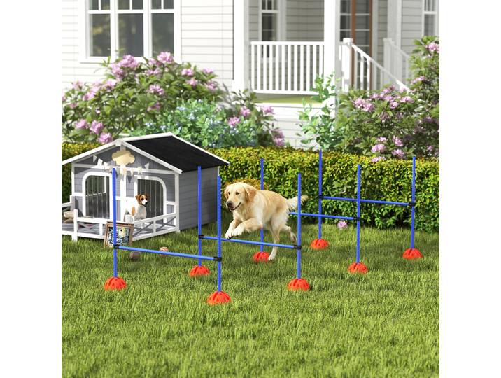 PawHut Set Agility Chiens 4 Haies avec Sac Transport Bleu