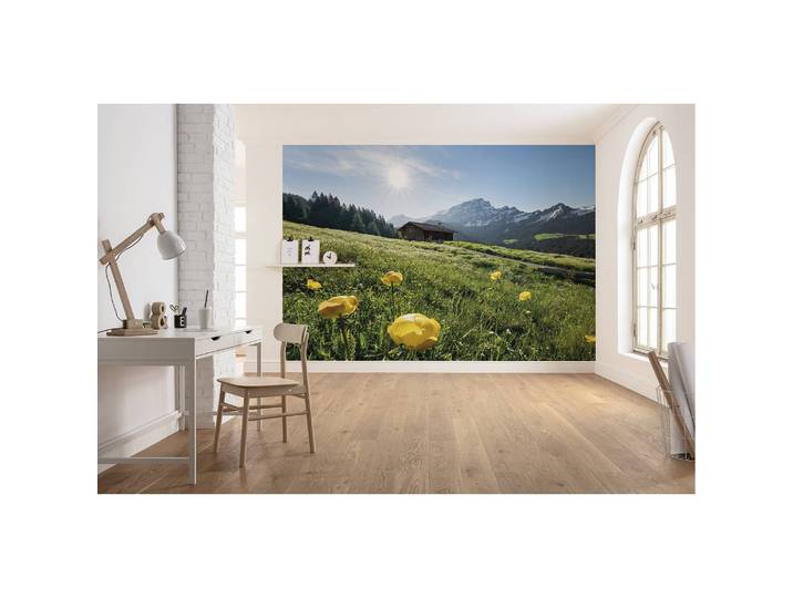 Papier peint intissé Alpes II 400 x 280cm