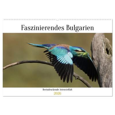 Faszinierendes Bulgarien (Wandkalender 2026 DIN A2 quer), CALVENDO Monatskalender