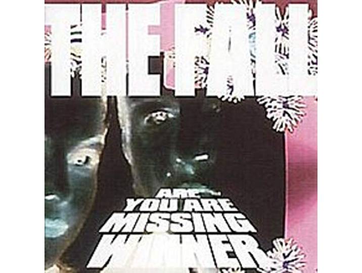 Are You Are Missing Winner (4CD)