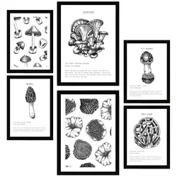 POSTER Set Mit 6 Pilzkomposition A3 & A4 Schwarzer Rahmen
