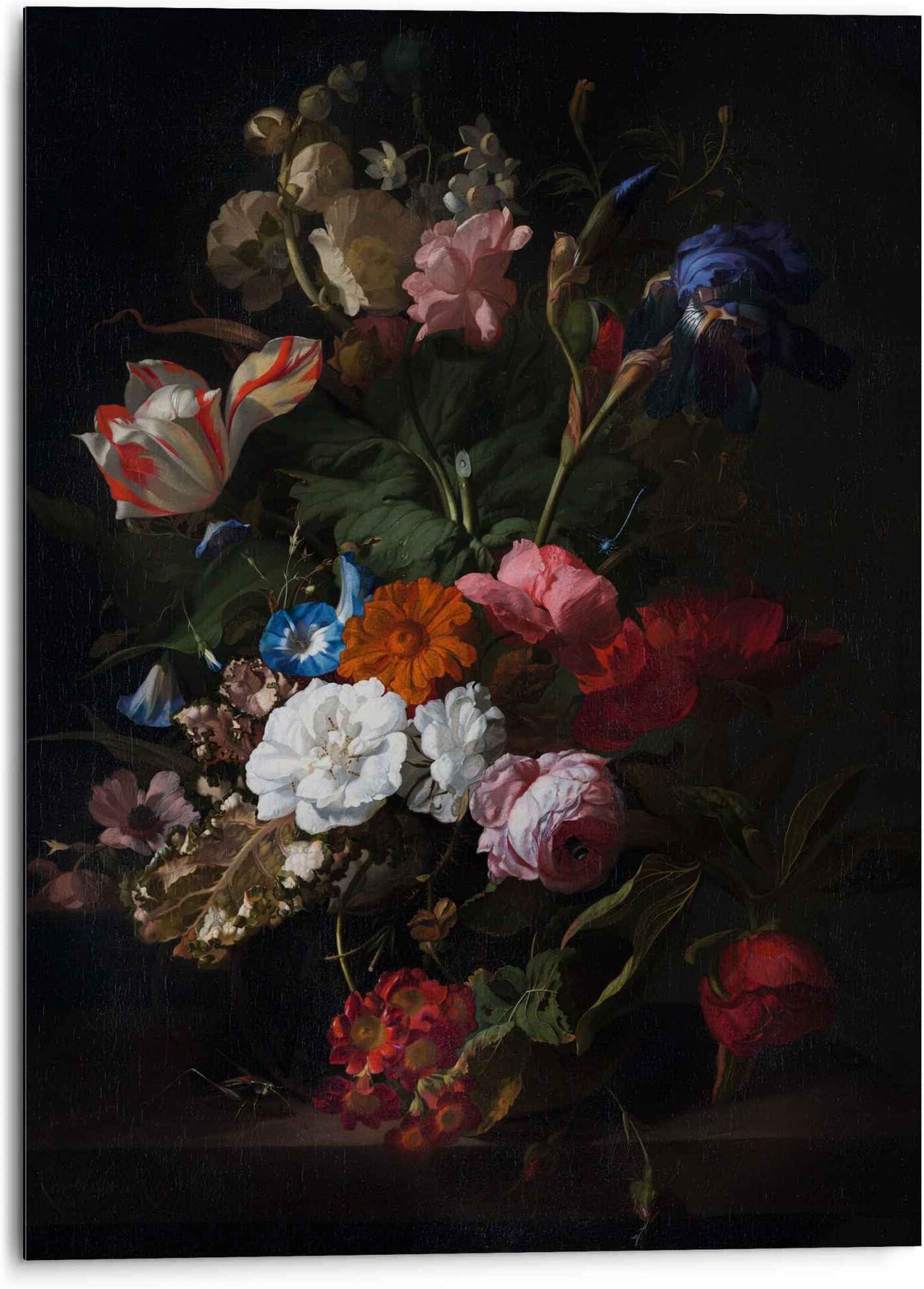 Reinders! Wandbild REINDERS "Aluminium Wandbild Blumen Mauritshuis - Dunkel - Alte Meister", bunt (farbe bild(er): mehrfarbig), B:50cm H:70cm, Aluminium, Bilder, Wandbild farbe bild(er): mehrfarbig B/H/T: 50cm x 70cm, Blumen, 1 Stk.