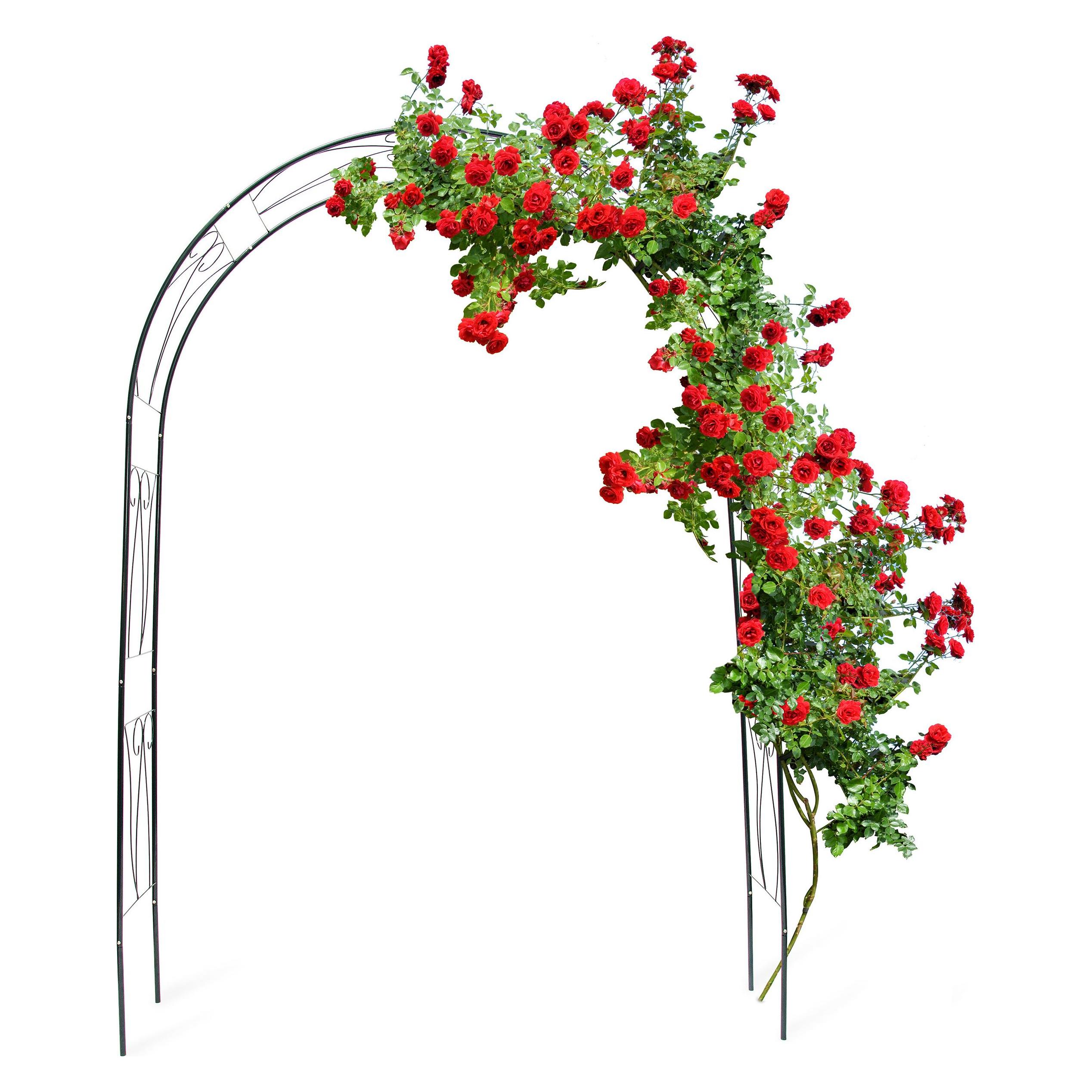 Relaxdays Rankbogen (39 cm, 153 cm) (10018869)