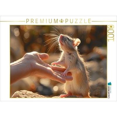 CALVENDO Puzzle Der Lift nach oben - Ratte steigt auf die Hand ihres Menschen | 1000 Teile Lege-Größe 64x48cm Foto-Puzzle für glückliche Stunden