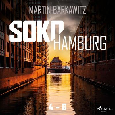 Soko Hamburg 4-6 - Martin Barkawitz, Audio, 9788728210093