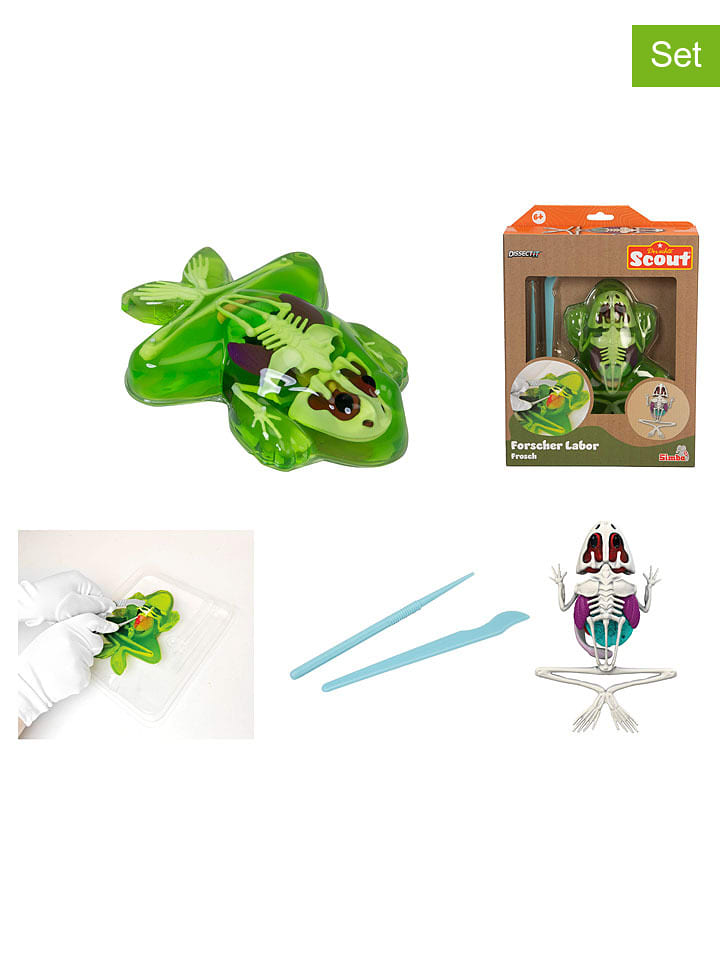 Simba Experimentierset ''Dissect-It - Frosch'' - ab 6 Jahren - onesize