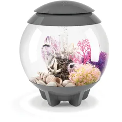 biOrb HALO 15 MCR grau (72037)