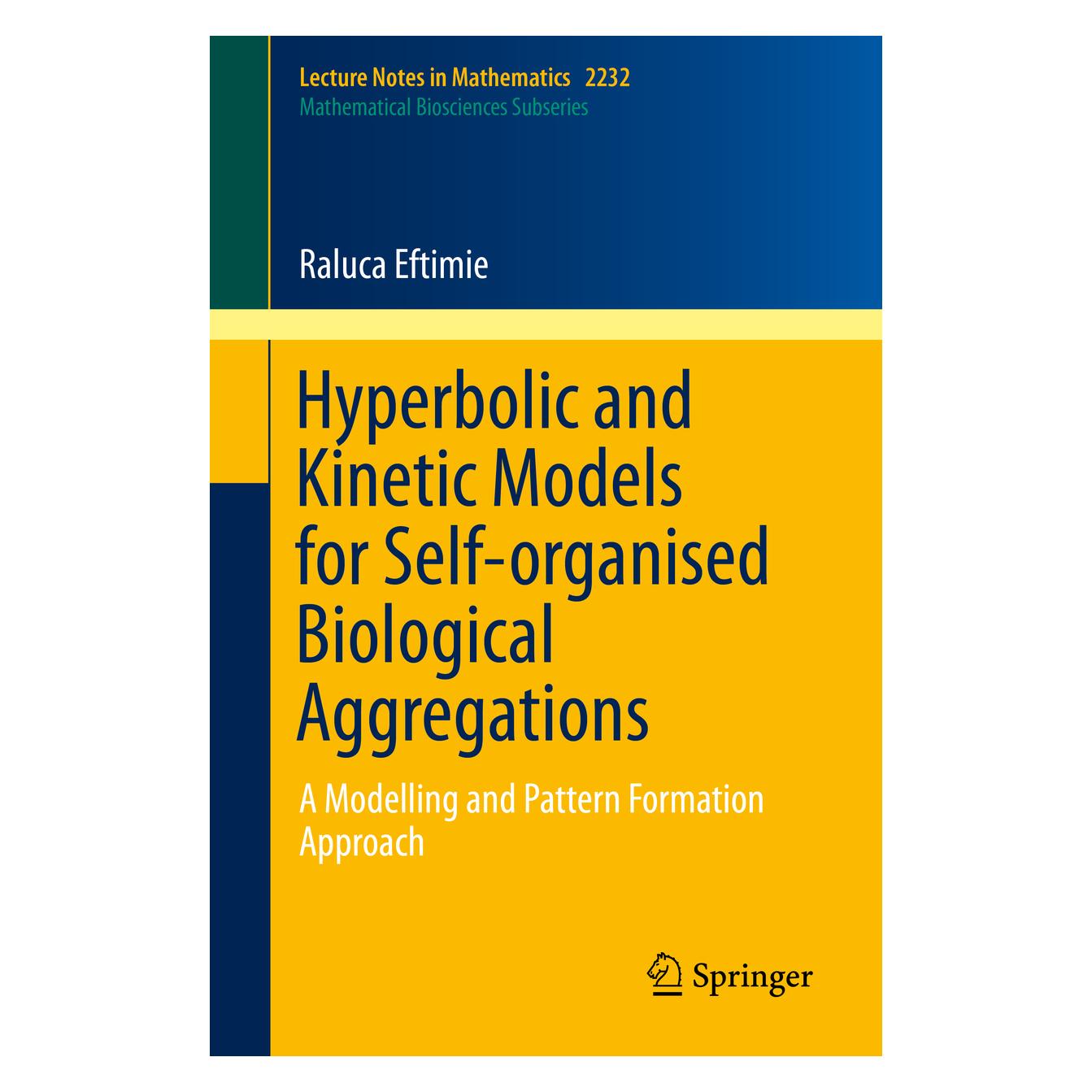 Springer Hyperbolic and Kinetic Models for Self-organised Biological Aggregations (Englisch, Softcover, Raluca Eftimie) (56014071)