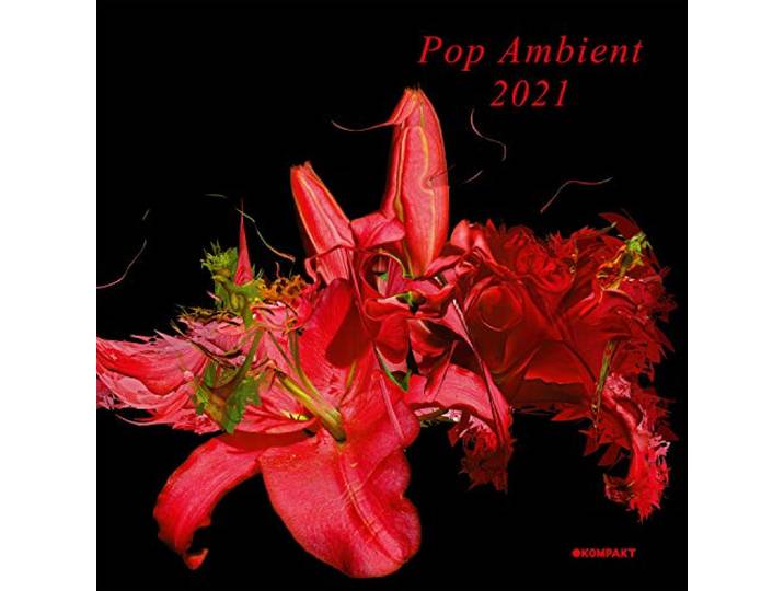 Pop Ambient 2021