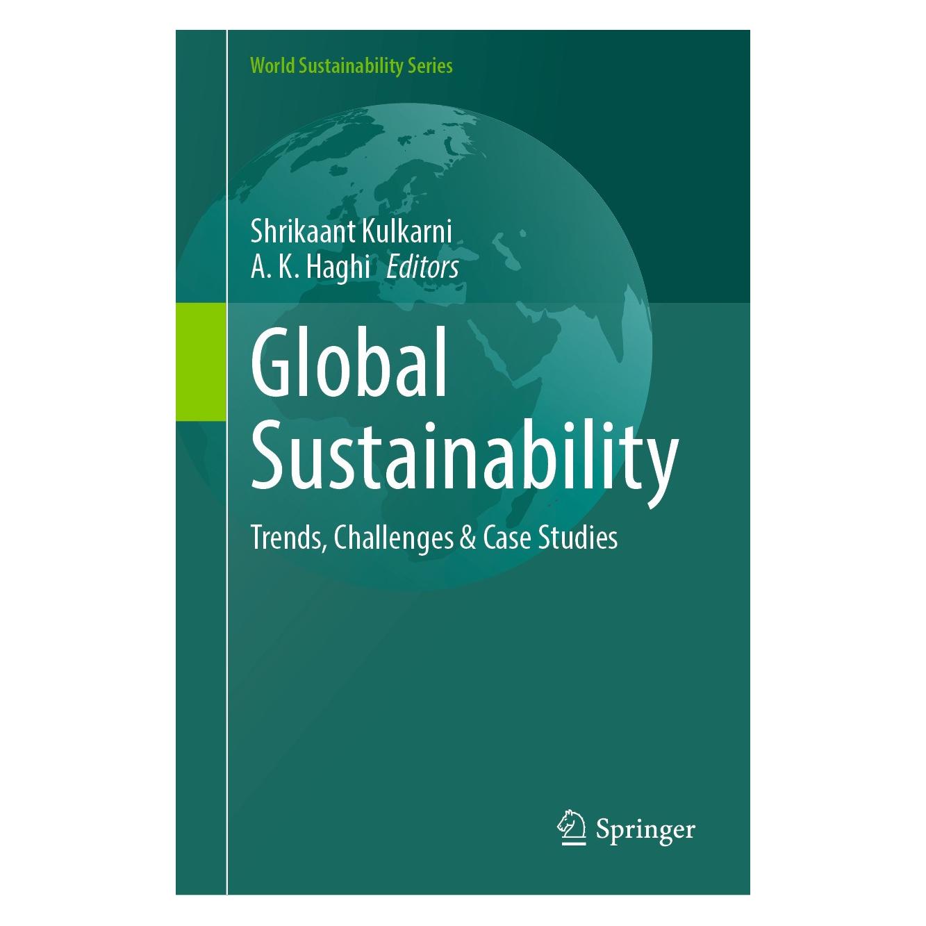 Springer Global Sustainability (Englisch, Hardcover, A. K. Haghi, Shrikaant Kulkarni) (9783031574559)