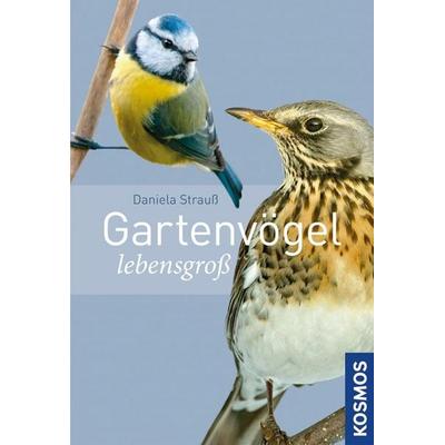 Gartenvögel lebensgroß, Taschenbuch von Daniela Strauss, Kosmos