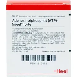 ATP Injeel forte Ampullen 10 St