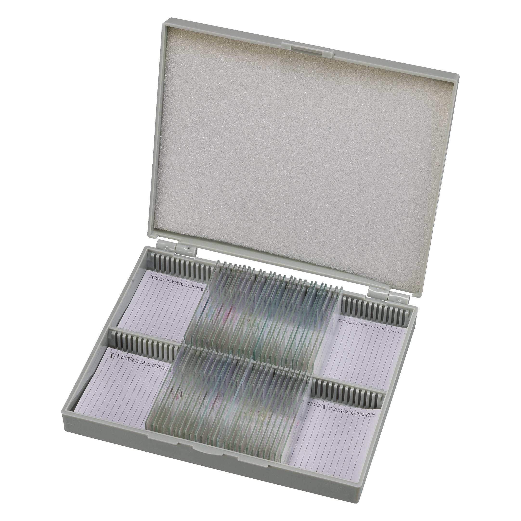 Bresser Dauerpräparate: Histologie (5985000)