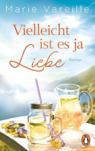 Marie Vareille - Vielleicht ist es ja Liebe: Roman - Preis vom 13.10.2026 19:28:25 h