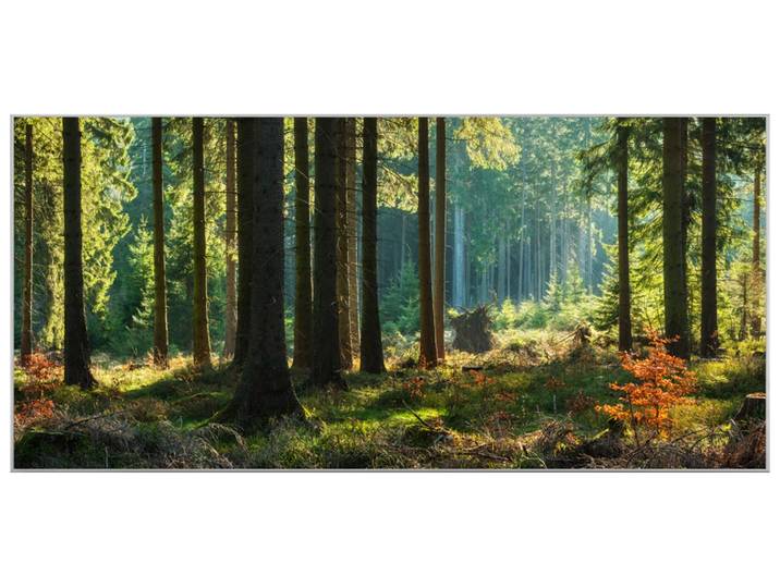 Bild mit Rahmen Herbstwald image LAND