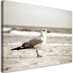 LEINWANDBILD Möwe Vogel Meer Strand Natur 100x70cm