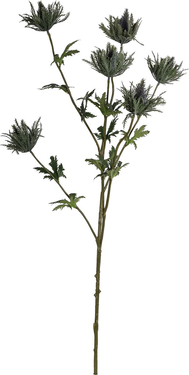 PTMD Groene distelplant met bladeren spray