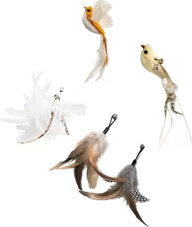 INF Ensemble de Jouets Interactifs pour Chat : 2 Plumes d'Oiseau et 3 Recharges de Plumes (Ensemble de 5 Pièces)