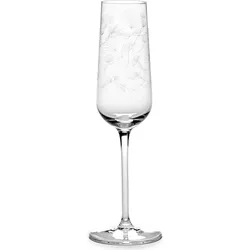 Midnight Flowers Champagnerglas 260 ml