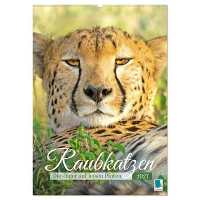 Raubkatzen: Die Jäger auf leisen Pfoten (Wandkalender 2027 DIN A2 hoch), CALVENDO Monatskalender
