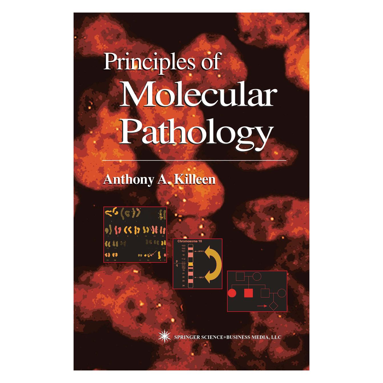 Springer Principles of Molecular Pathology (Englisch, Softcover, Anthony Killeen) (55383039)