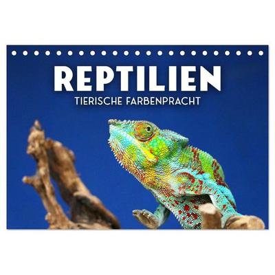 Reptilien - Tierische Farbenpracht (Tischkalender 2027 DIN A5 quer), CALVENDO Monatskalender